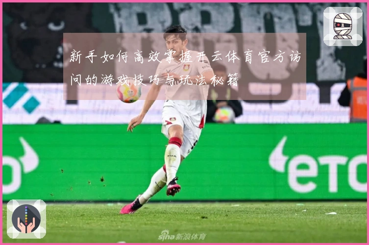 新手如何高效掌握开云体育官方访问的游戏技巧与玩法秘籍