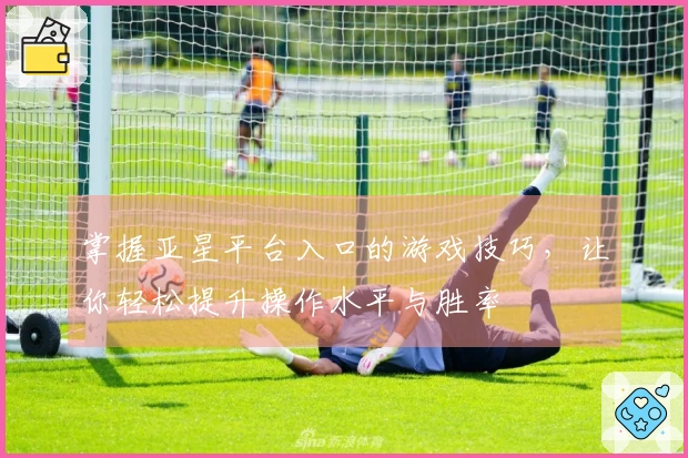 掌握亚星平台入口的游戏技巧，让你轻松提升操作水平与胜率
