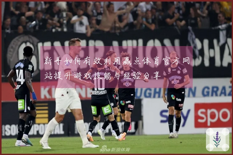 新手如何有效利用赢点体育官方网站提升游戏技能与经验分享