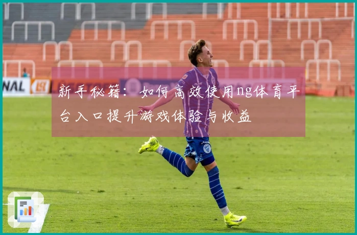 新手秘籍：如何高效使用ng体育平台入口提升游戏体验与收益