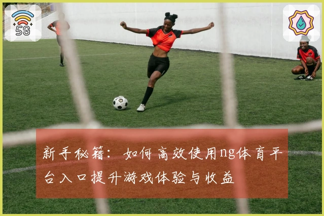 新手秘籍：如何高效使用ng体育平台入口提升游戏体验与收益